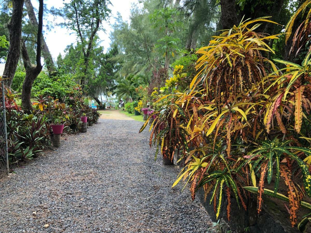 Case Cassia Riambel Eksteriør bilde